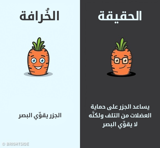 10_illaftrain_ed14960a6d505ee8814a374e6a1ed6e47dc03285_355c7e18c338f586827fa03daed21604