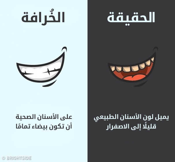 11_illaftrain_a4793e07b1f5020bab3ef544ace63ff7e45a0528_c2ee3f169200e7b17583111ae4856315