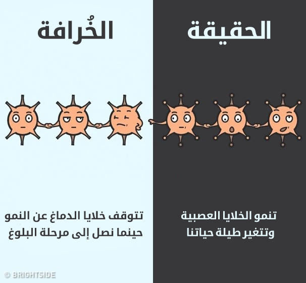 2_illaftrain_7e5064b114a86236dae22ea0b0b6bb085b0b6232_cc92c02db4bc2a6ee5271135a6eb3f2f