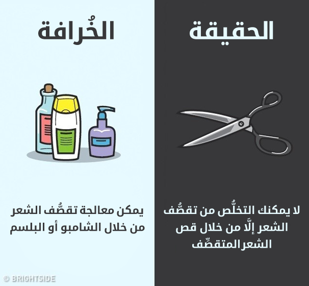 4_illaftrain_f0efa403ecf78f90a4be136af95140982faaf7a0_b3f2976c4e55b934b5fbaae027fe88ec