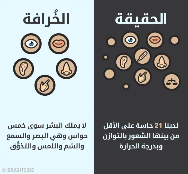 5_illaftrain_2d4bb1fabb1c949e028edf46238a1ee59114fe74_e649b33518e22e462879cacf75e2d653