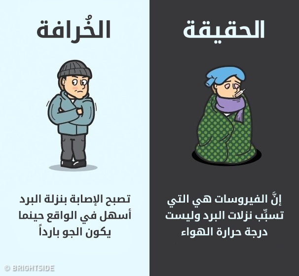 6_illaftrain_77850c735a0c623ed742a7f865382156ed08150e_cc92c02db4bc2a6ee5271135a6eb3f2f