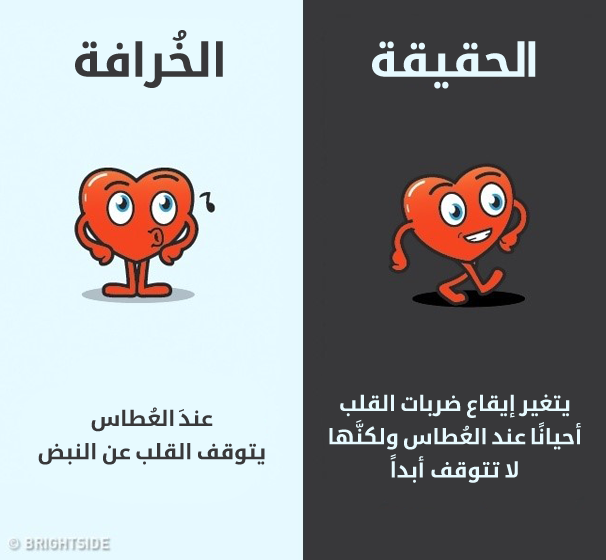 7_illaftrain_973ac28e165c168e8072f0649f55bc296e28d434_09bf6490d905885f951e209f5258ecc3