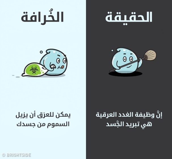 9_illaftrain_0e31bcbfcecd93115ddb7e37effd4318c76fa74f_355c7e18c338f586827fa03daed21604