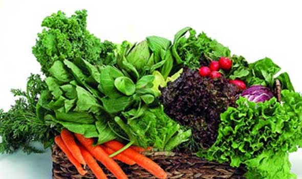 الخضار الورقية الخضار الورقية