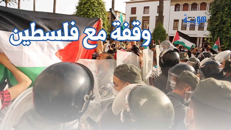 d981d984d8b3d8b7d98ad986-1-1