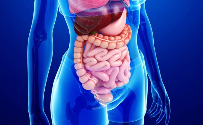 ما هو مرض حساسية الجلوتين