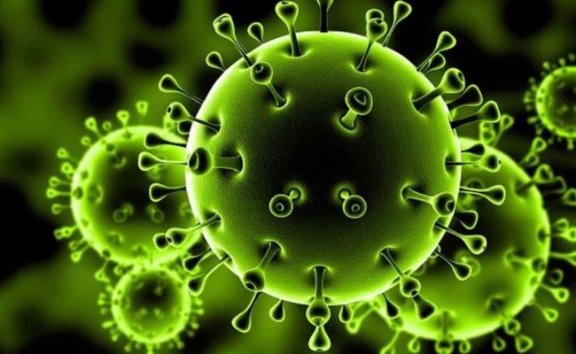 متحور فلورنا الجديد يثير الذعر في العالم