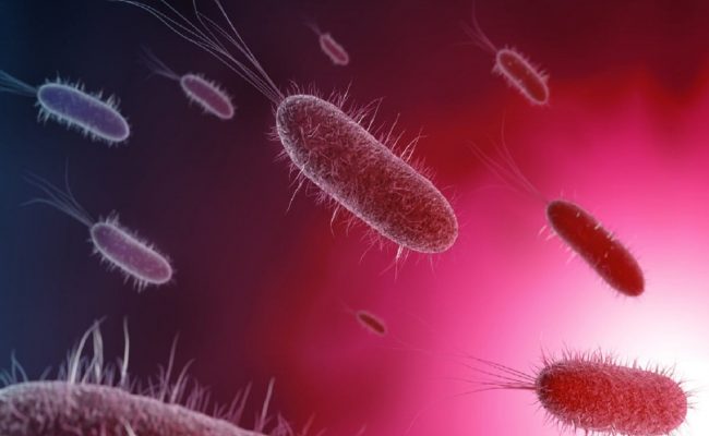 هل جرثومة المعدة تسبب تعرق