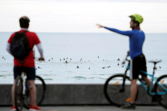 بعد 48 يوما من الحظر … الإسبان يتنزهون - صور