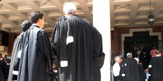 0000-1-1500x9999-c إعفاء المحامين من رخص التنقل وتعويضها بالبطاقة المهنية