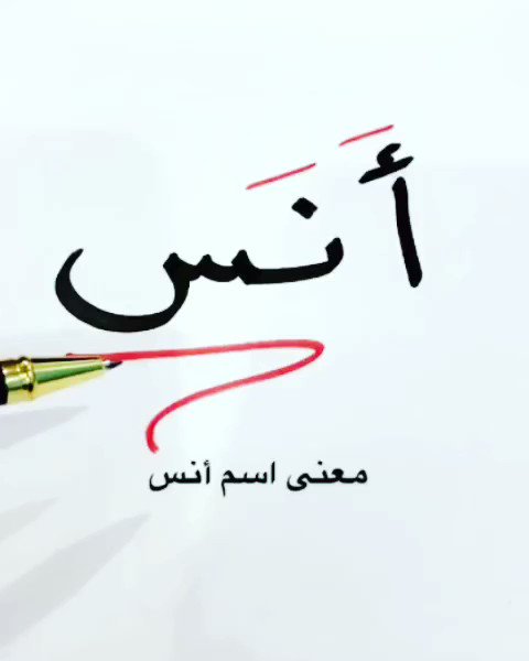 008 أنس