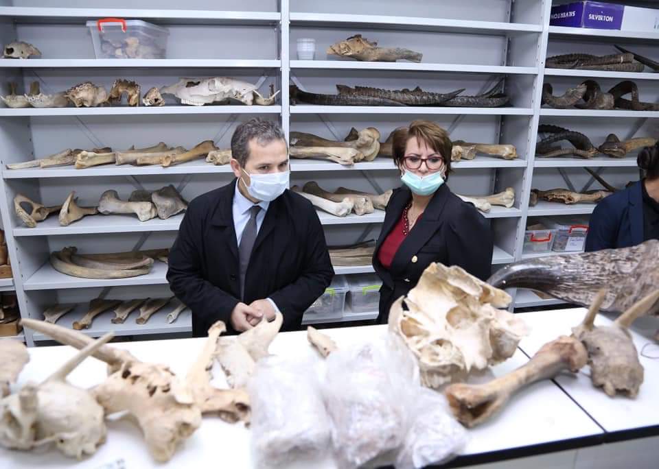 0202547c-47e3-425b-9254-d22e419887c7