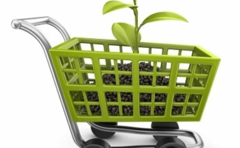 المستهلك الأخضر