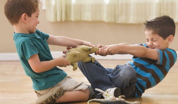 1-48-4 شجار الاطفال