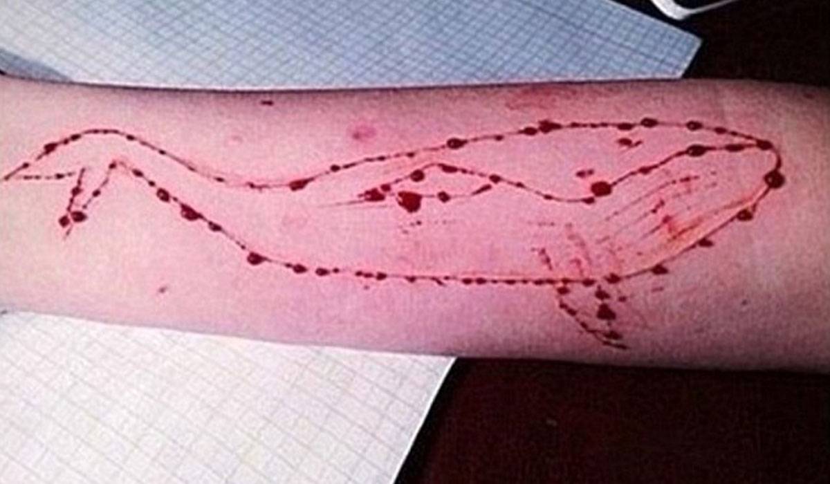 1-6-15 Blue Whale challenge