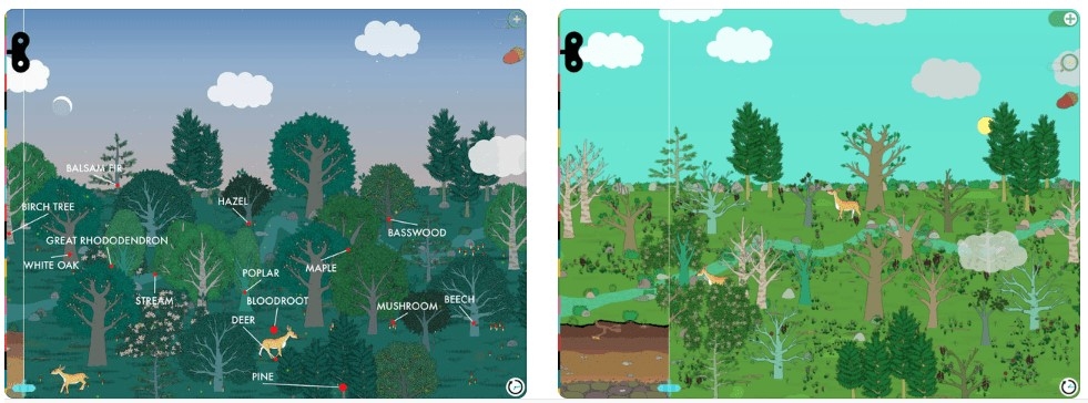 تطبيق Plants by Tinybop