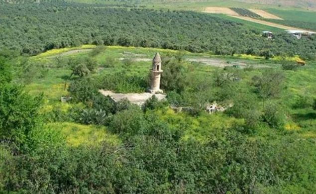 مدينة عرعر مدينة عرعر