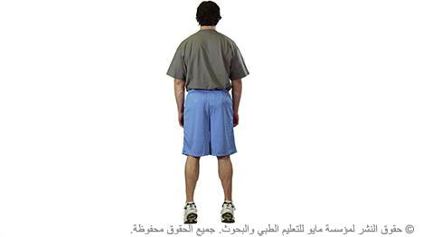 الرفع بربلة الساقين الرفع بربلة الساقين