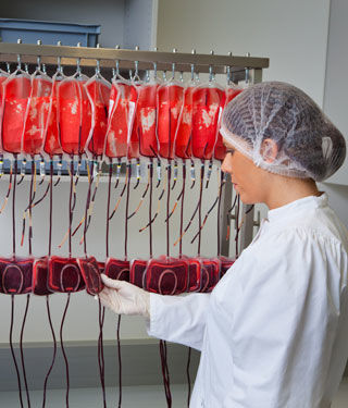 حوالي 92 مليون وجبة تبرع بالدم تجمع سنويا في أنحاء العالم حوالي 92 مليون وجبة تبرع بالدم تجمع سنويا في أنحاء العالم