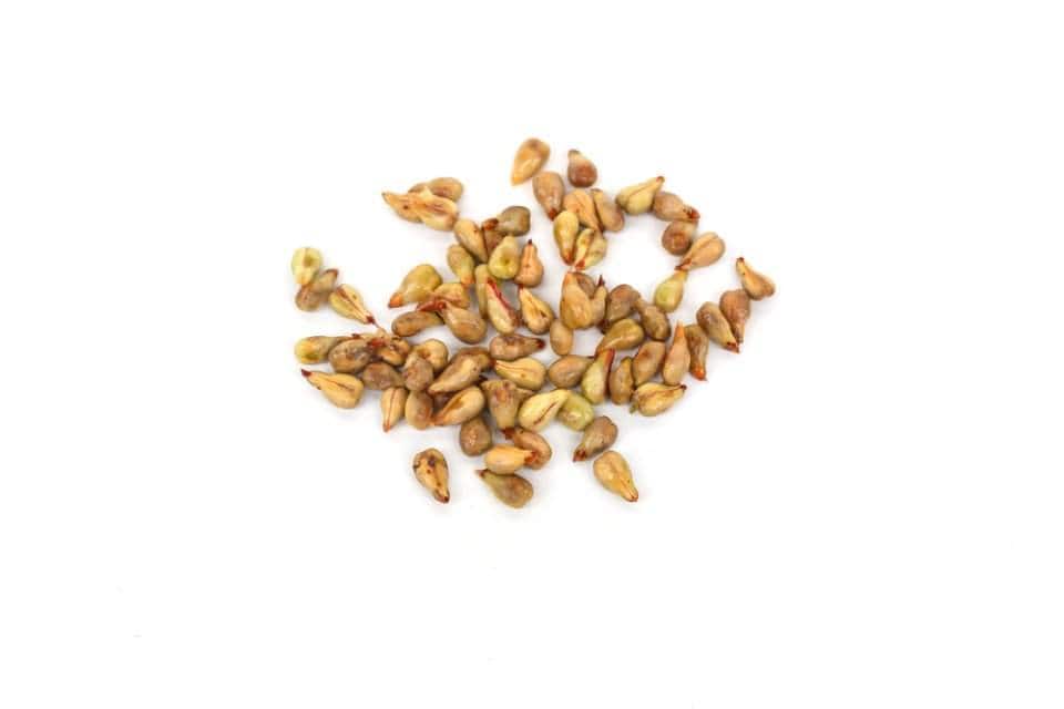 اكثري من شرب السوائل اكثري من شرب السوائل