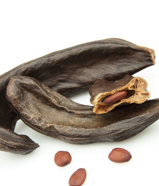 شراب الخروب شراب الخروب