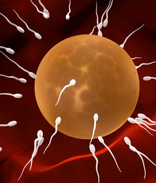 الصيام يحسن الخصوبة الصيام يحسن الخصوبة