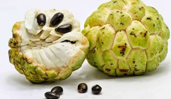 15-2-3 فوائد فاكهة القشطة