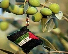 حرب مبكرة على موسم الزيتون