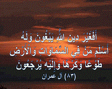 1537252610_-1 غربي في ثوب إسلامي