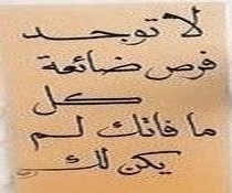 الفرص الضائعة
