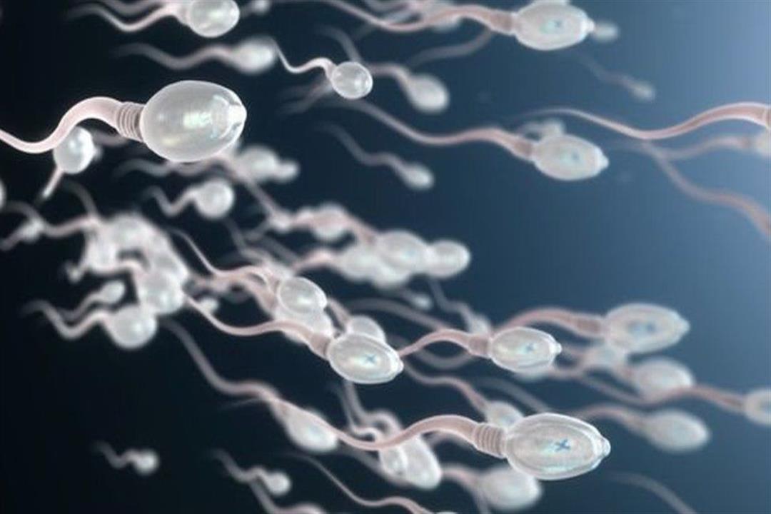 لماذا تضر قلة الحيوانات المنوية بصحة الرجال؟.. 6 نصائح للحفاظ عليها