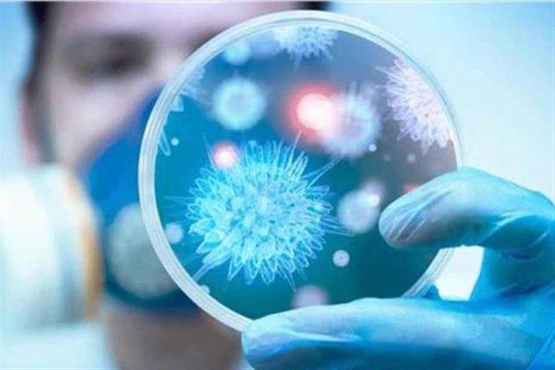 علماء أمريكيون يكشفون عن بشرى سارة بشأن كورونا علماء أمريكيون يكشفون عن بشرى سارة بشأن كورونا