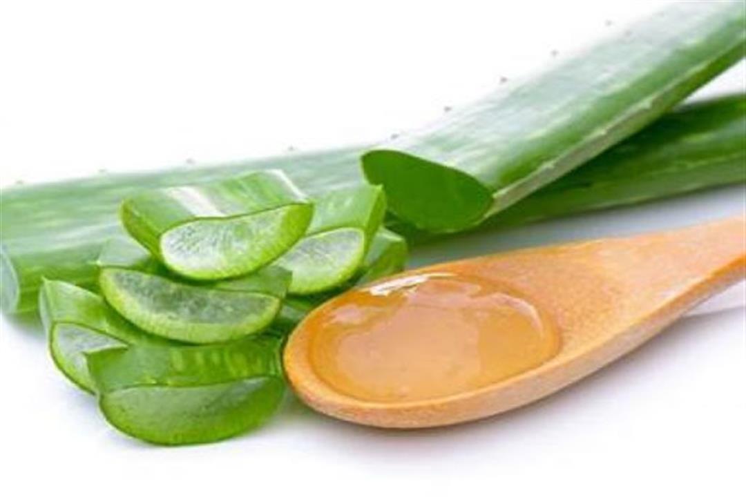 2020_4_3_14_3_31_114 الألوفيرا