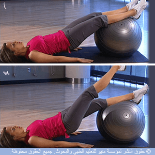 تمرين الجسر تمرين الجسر