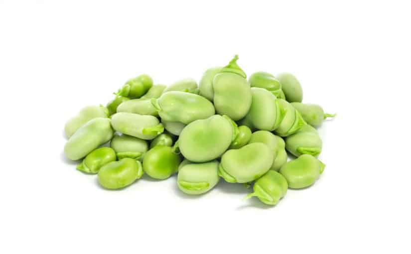 30-broad-beans-825x510-2 رجيم الفول