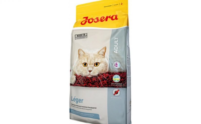 303__1530746215_729-1200x800-825x510-2 مواقع بيع أكل القطط في دبي