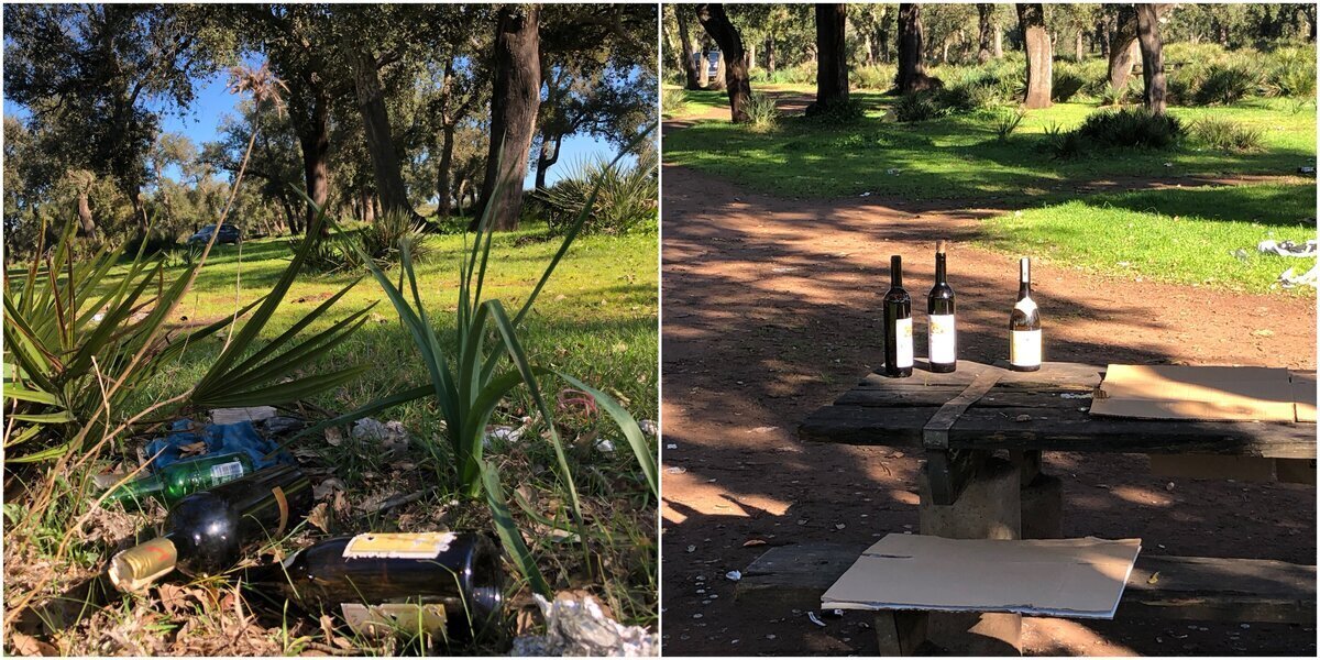 30728a1b-b8e5-472e-9235-02a5b391f131