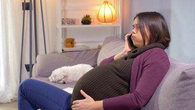 33b9818b08a7a69d28c271fb5a4998e5-1 تربية الحيوانات الأليفة أثناء الحمل