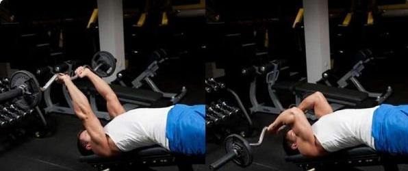 تمرين بار زجزاج مستوي سفلي تمرين بار زجزاج مستوي سفلي