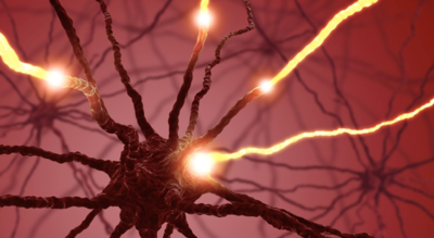 4331cf0adbbfdf9cbf5c300082847a6d-1 الغذاء وأمراض الأعصاب