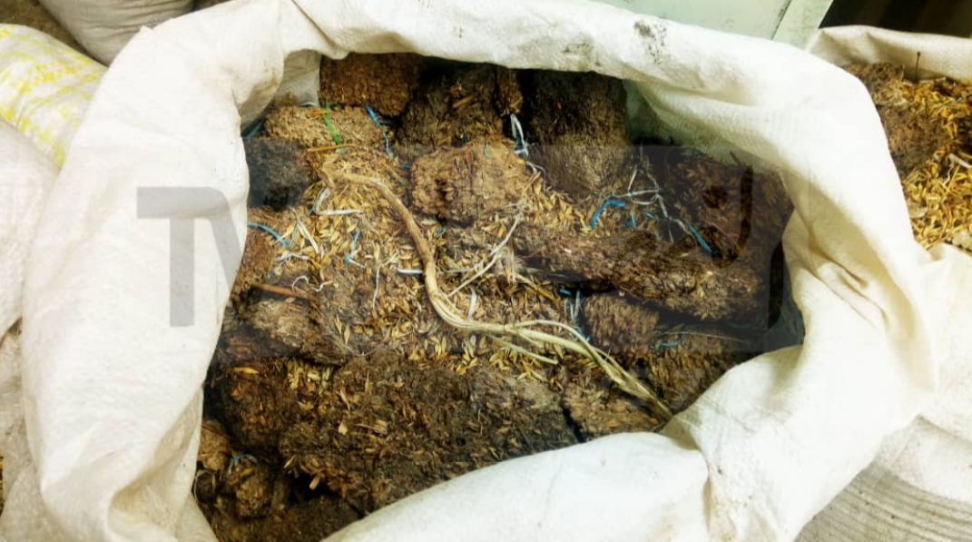 44444-1500x9999-c موالون يكشفون شعيرا ممزوجا بالأوساخ و التراب في مخزن قصر الشلالة بتيارت