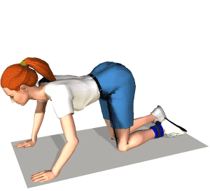 465106ab393bc4d18d6e19f1ba7217fa