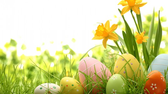 552f74fda95daarticle_2958_1-1 نصائح طبية ليوم شم النسيم