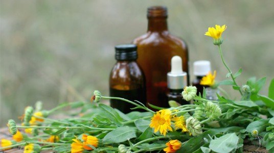 55533bd92e68farticle__1-1 فعالية الأدوية العشبية في معالجة نوبات الربو و الوقاية منها