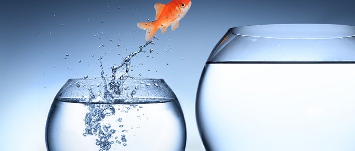 568394e4d073earticle_3309_1-1 تغيرات بسيطة للسنة الجديدة لحياة صحية سعيدة خالية من الامراض