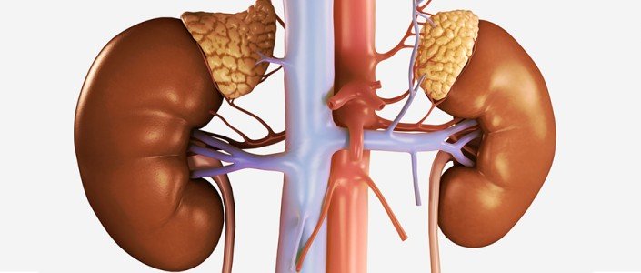 56c19be8ab603article_3373_1-1 (أديسون)؛ الطبيب الحزين والمريض الهزيل