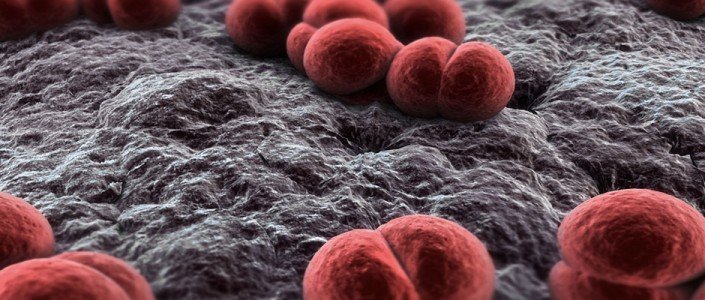 56fbaf9bef088article_3441_1-1 ما يجب أن تعرفه عن الالتهاب السحائي