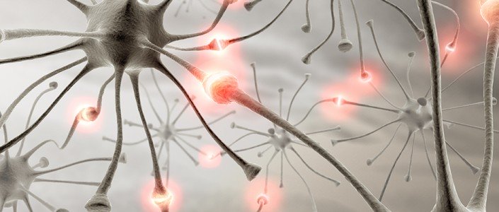 570b62a64d83earticle_3453_1-1 اعتلال الأعصاب بين الحقيقة والوهم