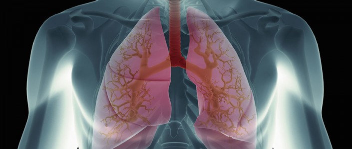 572867088aa0aarticle_3225_1-1 10- نصائح لرئتين أكثر صحة